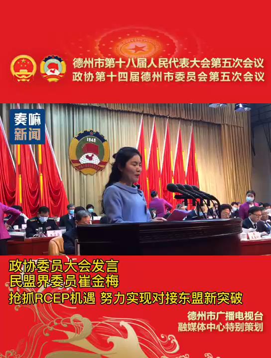 政协委员大会发言 民盟界委员崔金梅 抢抓rcep机遇 努力实现对接东盟