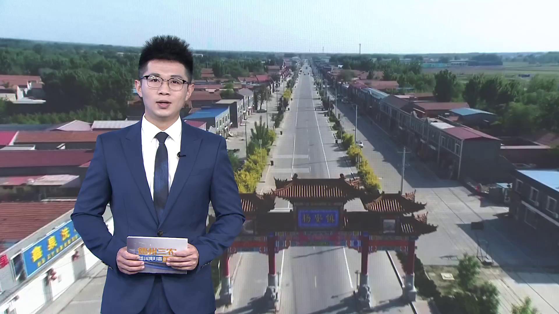 乐陵杨安镇做大培强打造调味品产业聚集高地